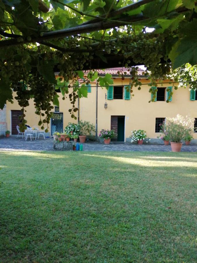 Mugello - Casa Di Campagna Bed & Breakfast Vicchio Exterior photo